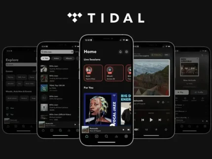 Logo Produk TIdal Music